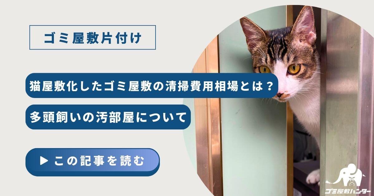 猫屋敷化したゴミ屋敷の清掃費用相場とは？多頭飼いの汚部屋について