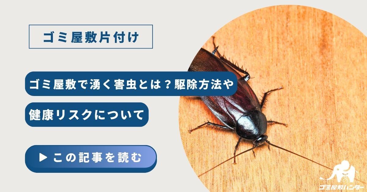 ゴミ屋敷で湧く害虫とは？駆除方法や健康リスクについて