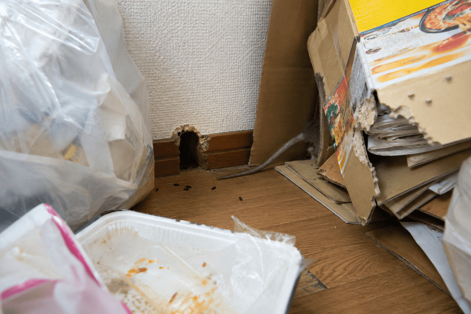 ゴミ屋敷にネズミがいるか確認するサイン